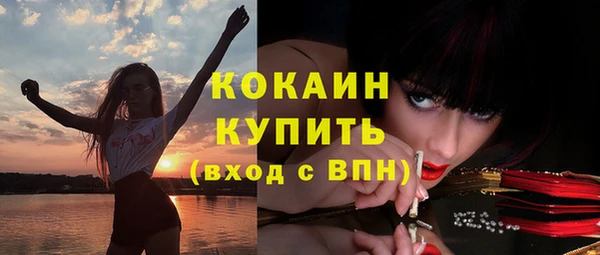МДПВ Лагань