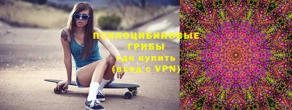 МДПВ Лагань