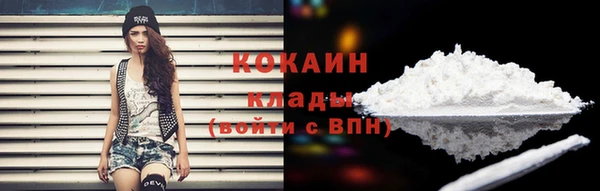 крисы Липки