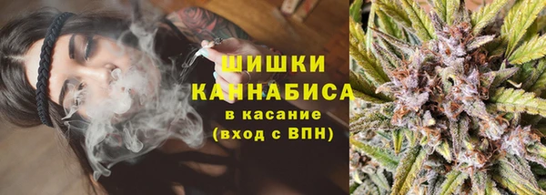 не бодяженный Ладушкин