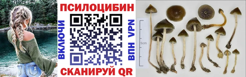 Купить закладки  Заозёрск  Псилоцибиновые грибы прущие грибы 